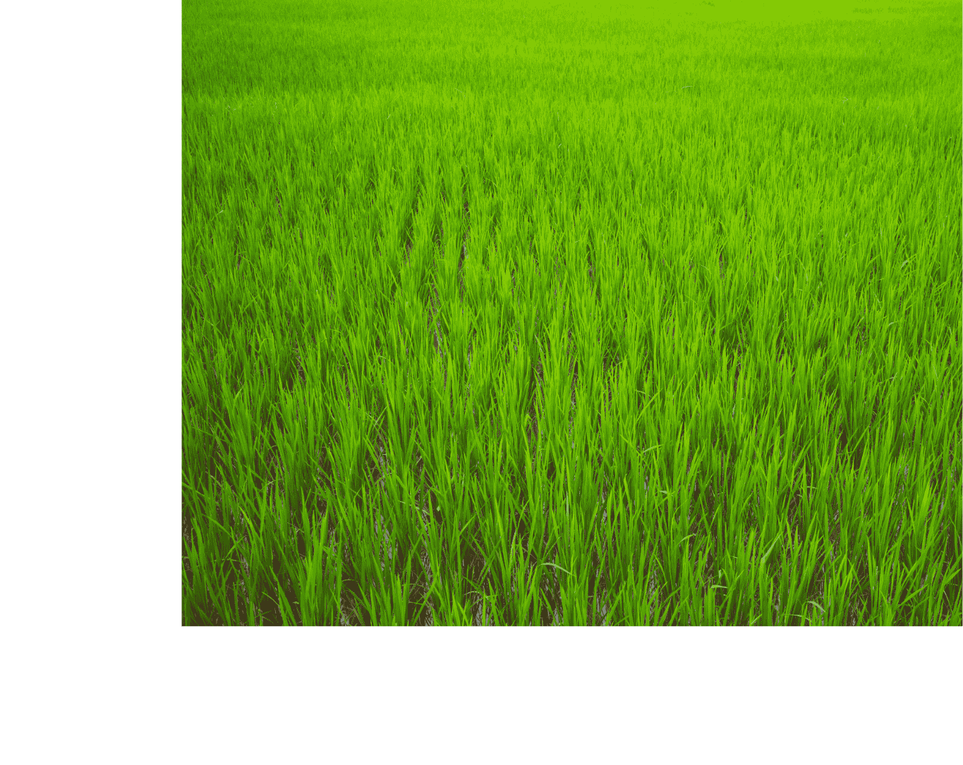 Back 3 Image